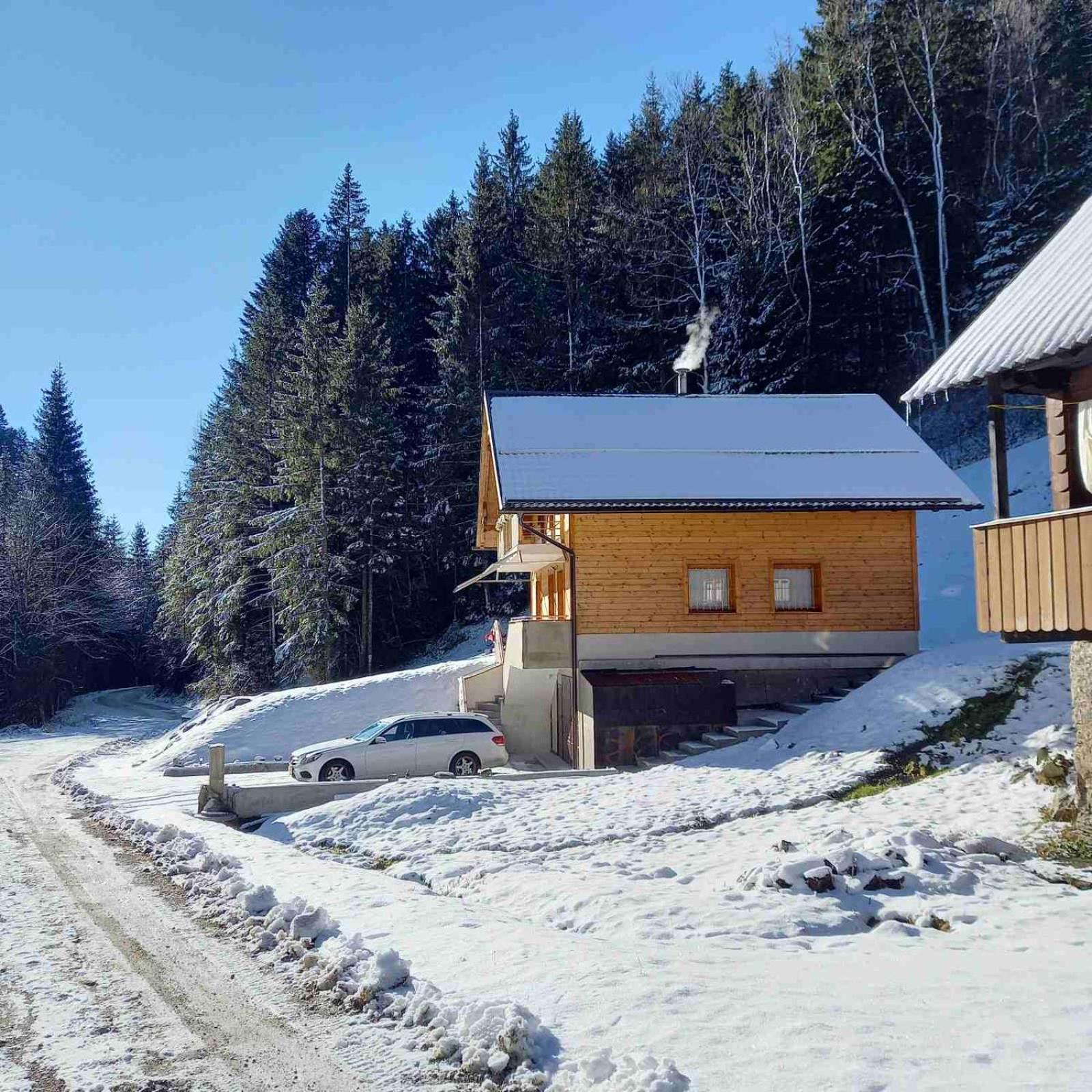 Hisa Lunna - Apartments In A Forest Paradise Vitanje المظهر الخارجي الصورة