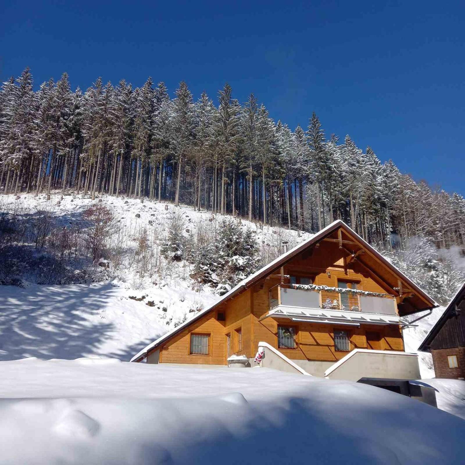 Hisa Lunna - Apartments In A Forest Paradise Vitanje المظهر الخارجي الصورة