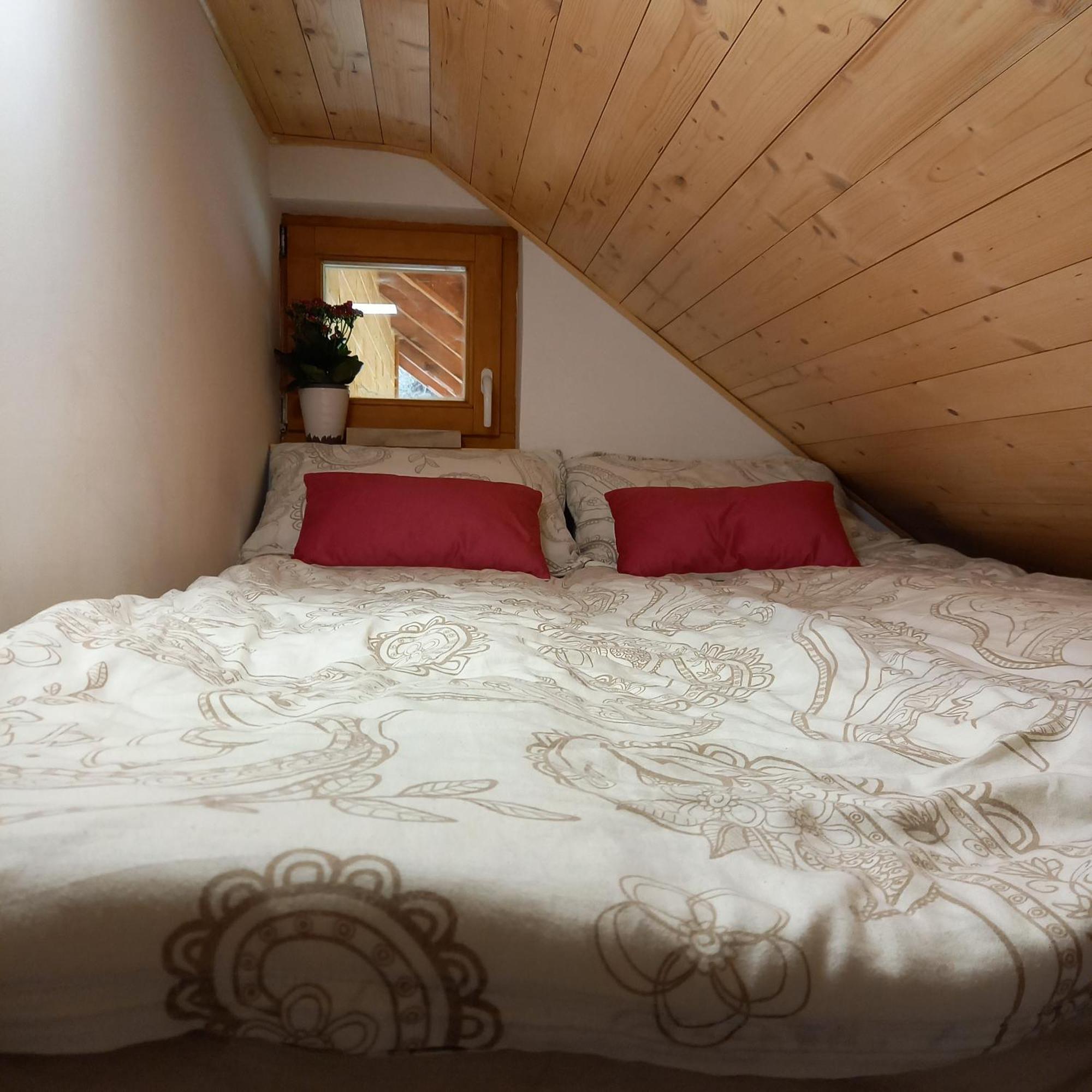 Hisa Lunna - Apartments In A Forest Paradise Vitanje المظهر الخارجي الصورة