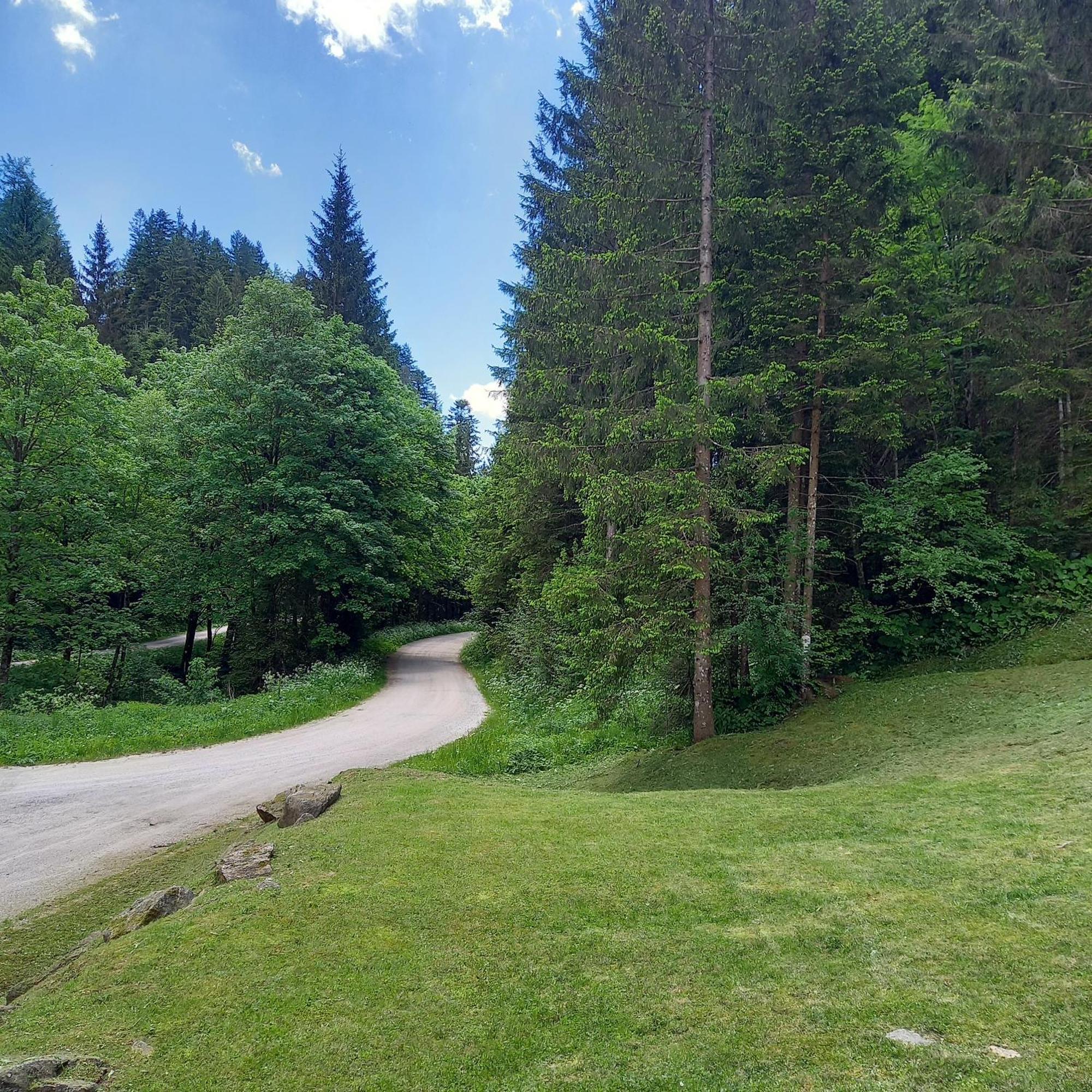 Hisa Lunna - Apartments In A Forest Paradise Vitanje المظهر الخارجي الصورة